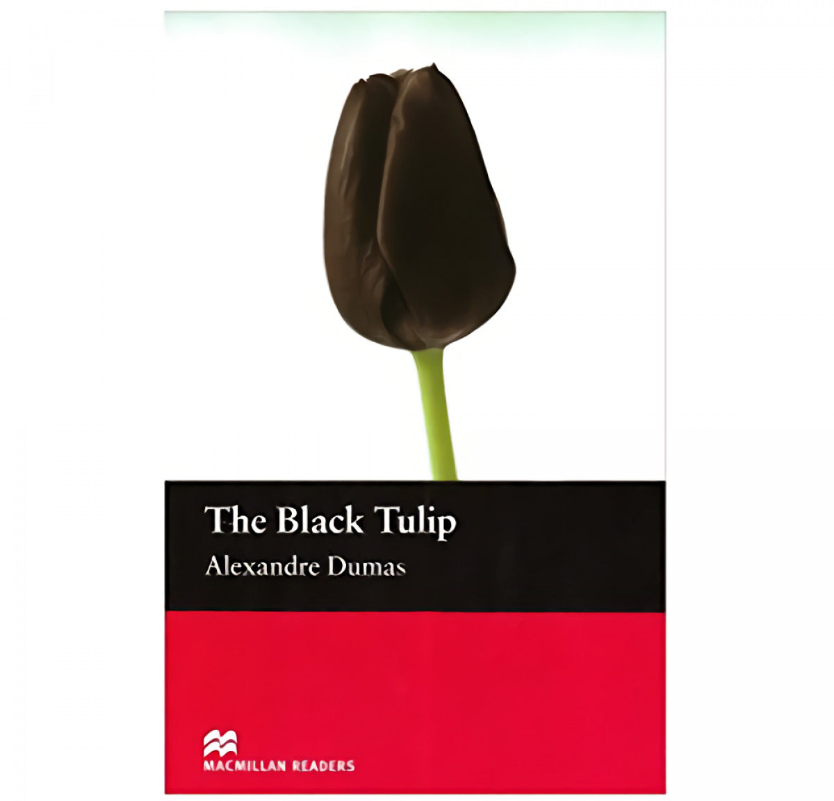 Black tulip, the . beginner