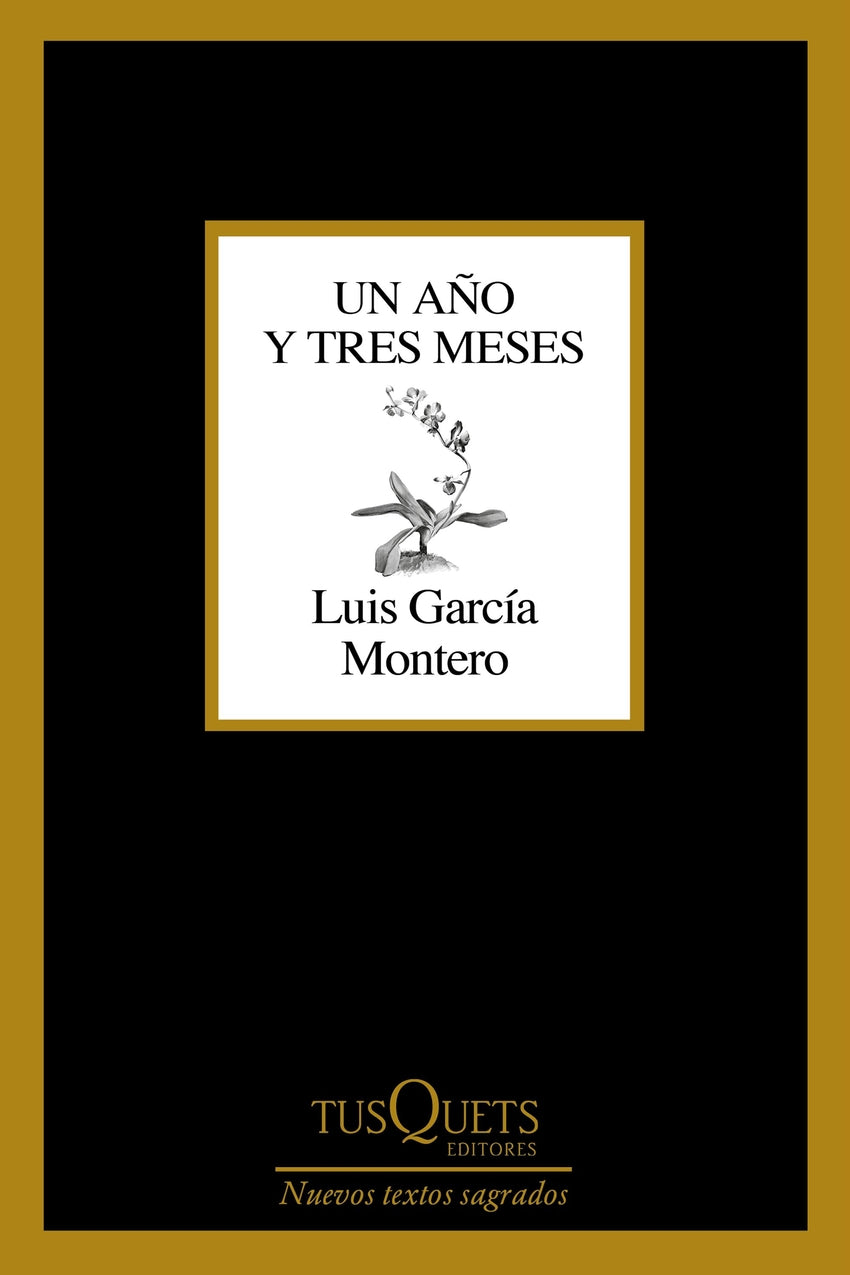 Un año y tres meses