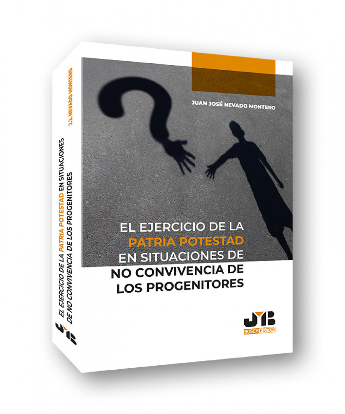 El ejercicio de la patria potestad en situaciones de no convivencia de los progenitores