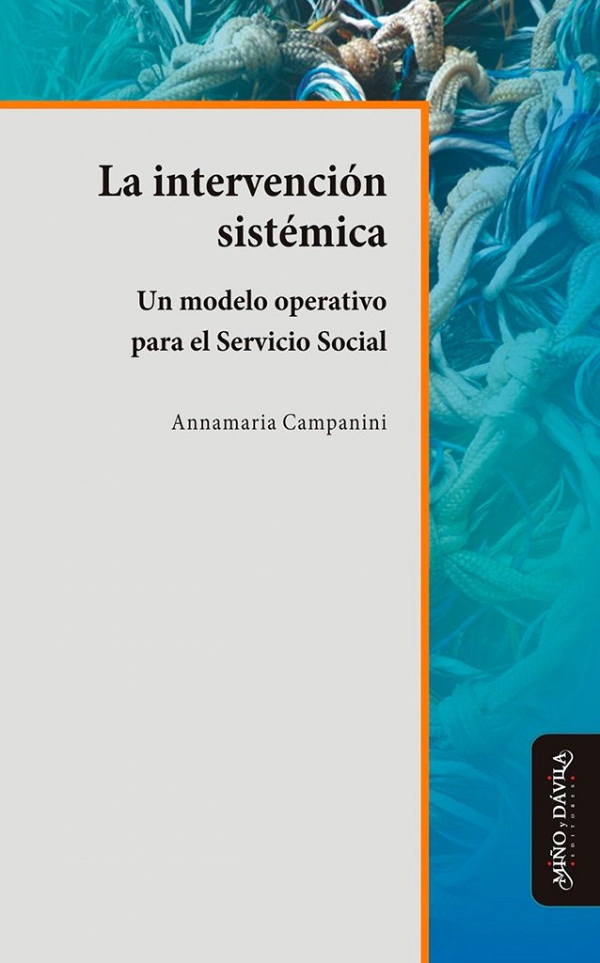 La intervención sistémica.