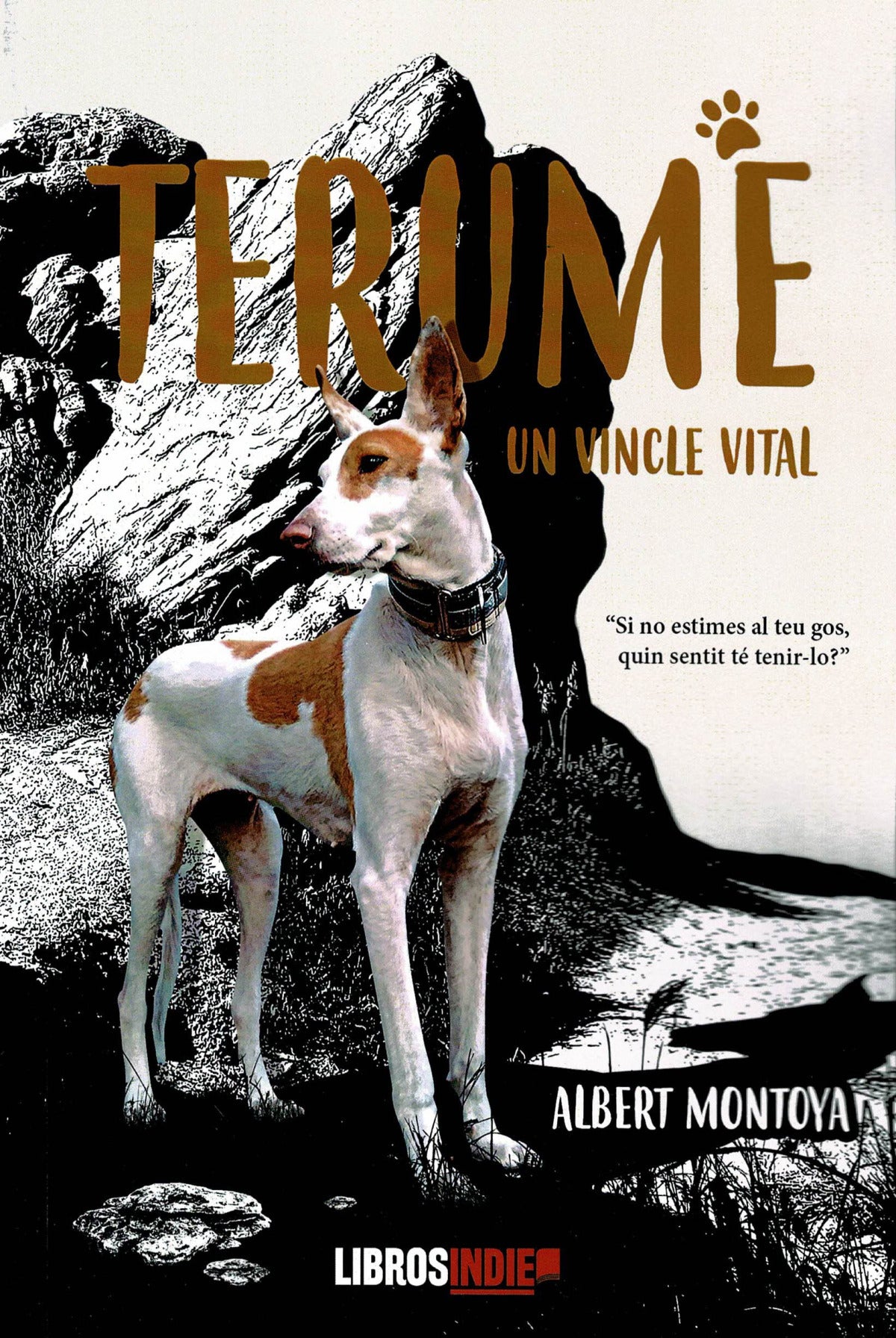 TERUME. UN VINCLE VITAL