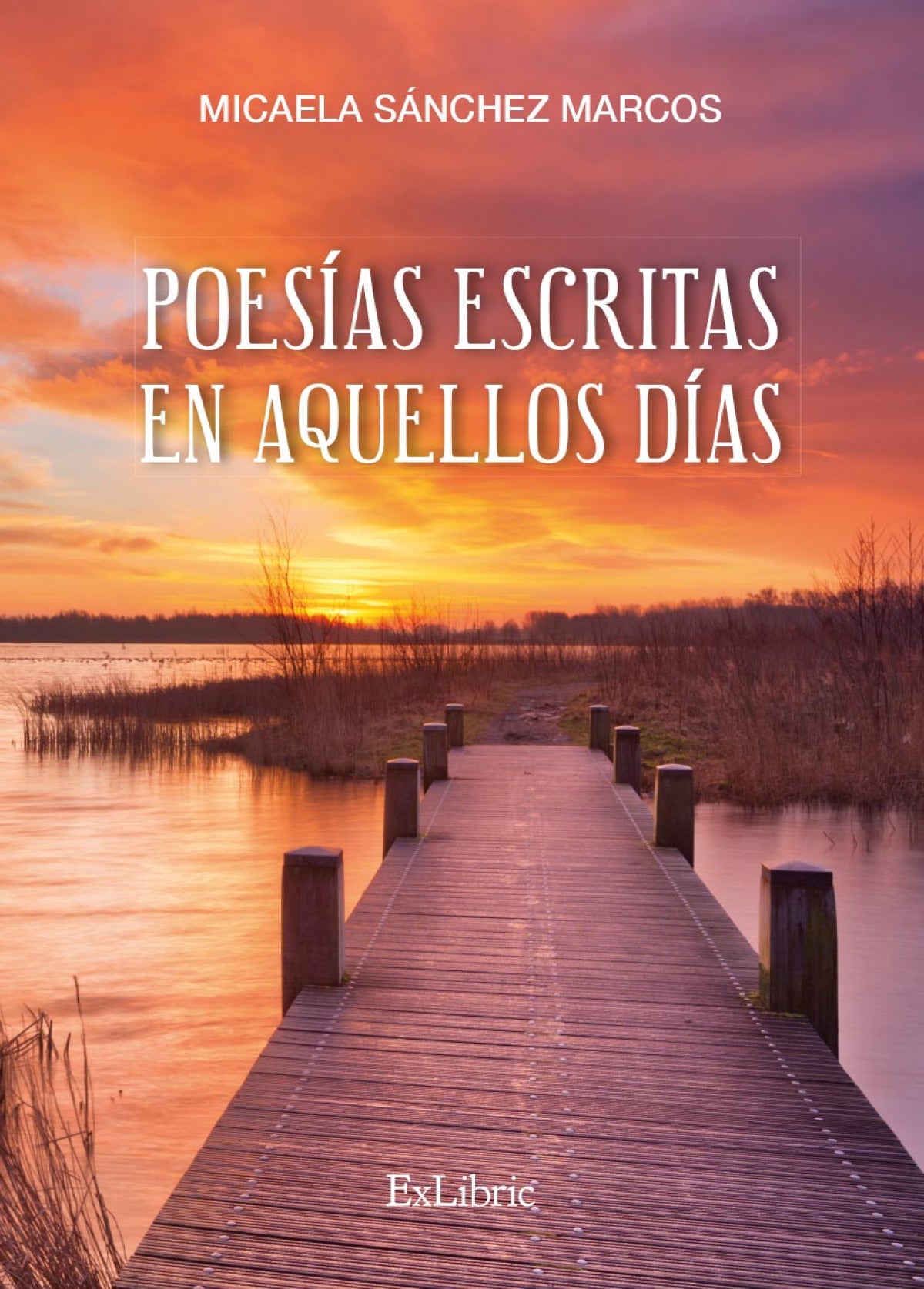 Poesías escritas en aquellos días