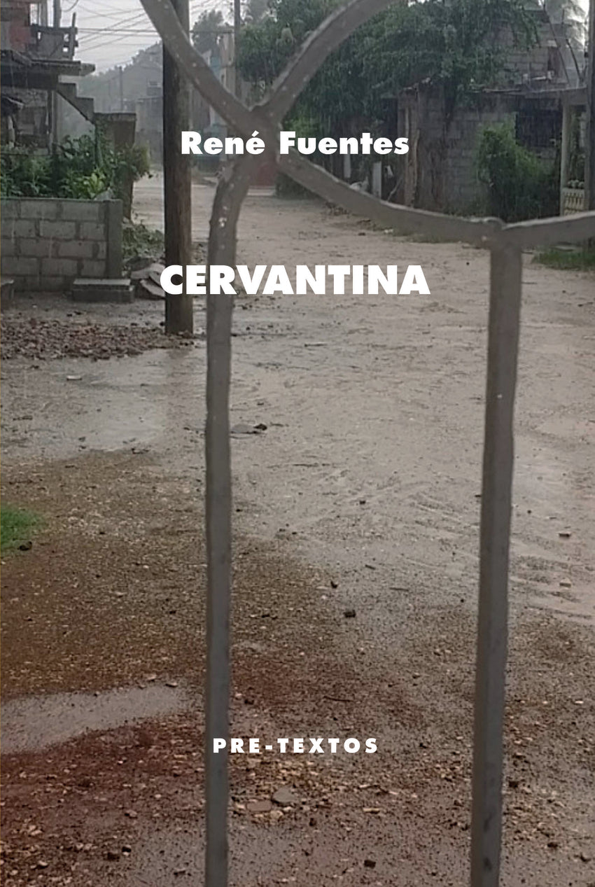 Cervantina