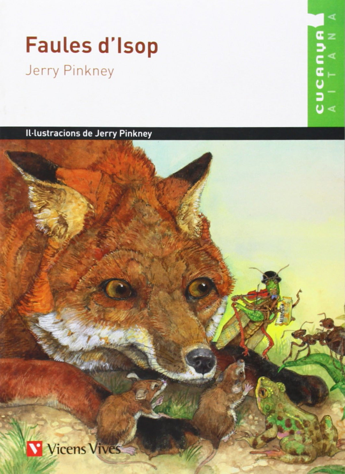 Faules D'isop. Material Auxiliar.