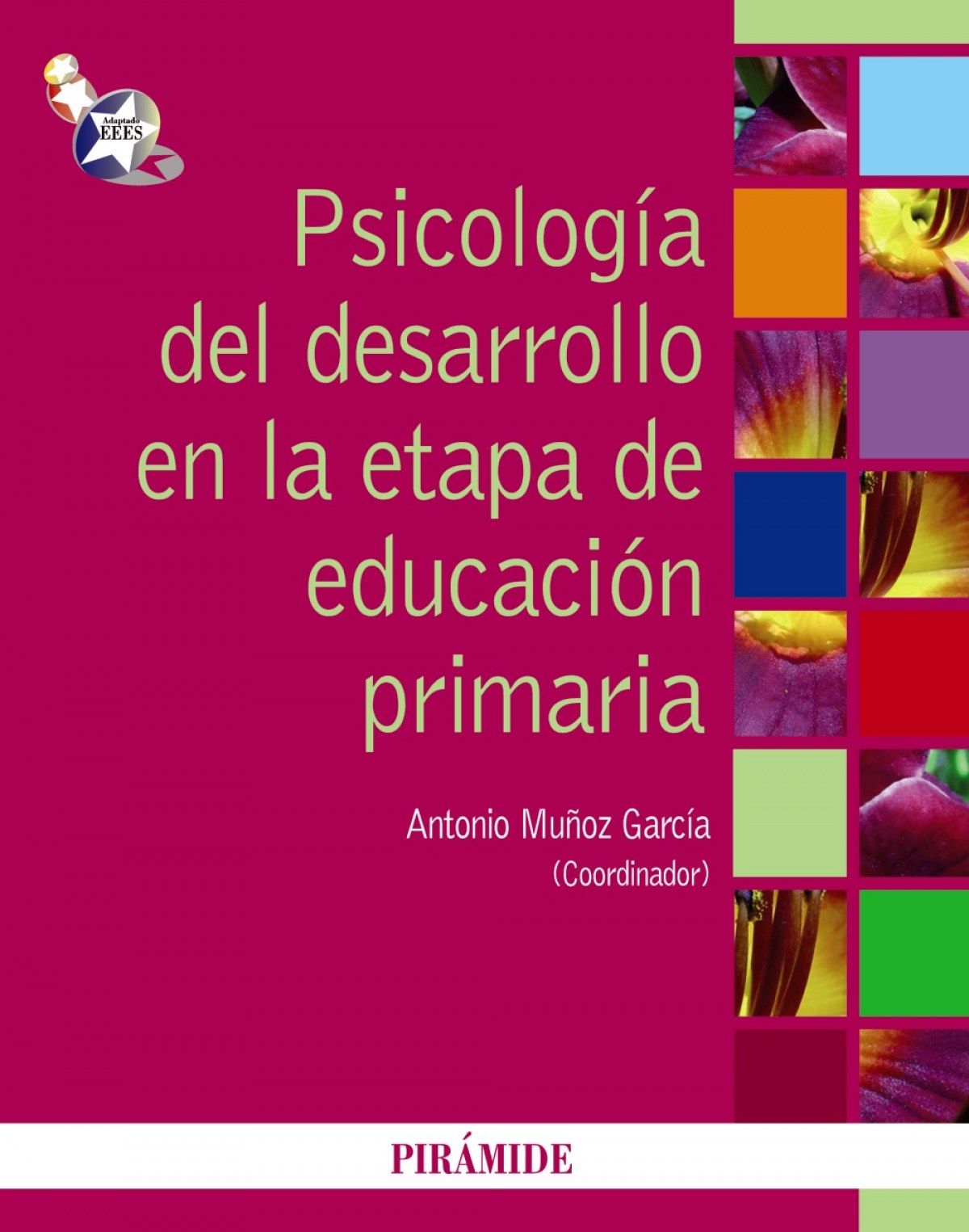 PSICOLOGIA DEL DESARROLLO EN LA ETAPA DE EDUCACIÓN PRIMARIA