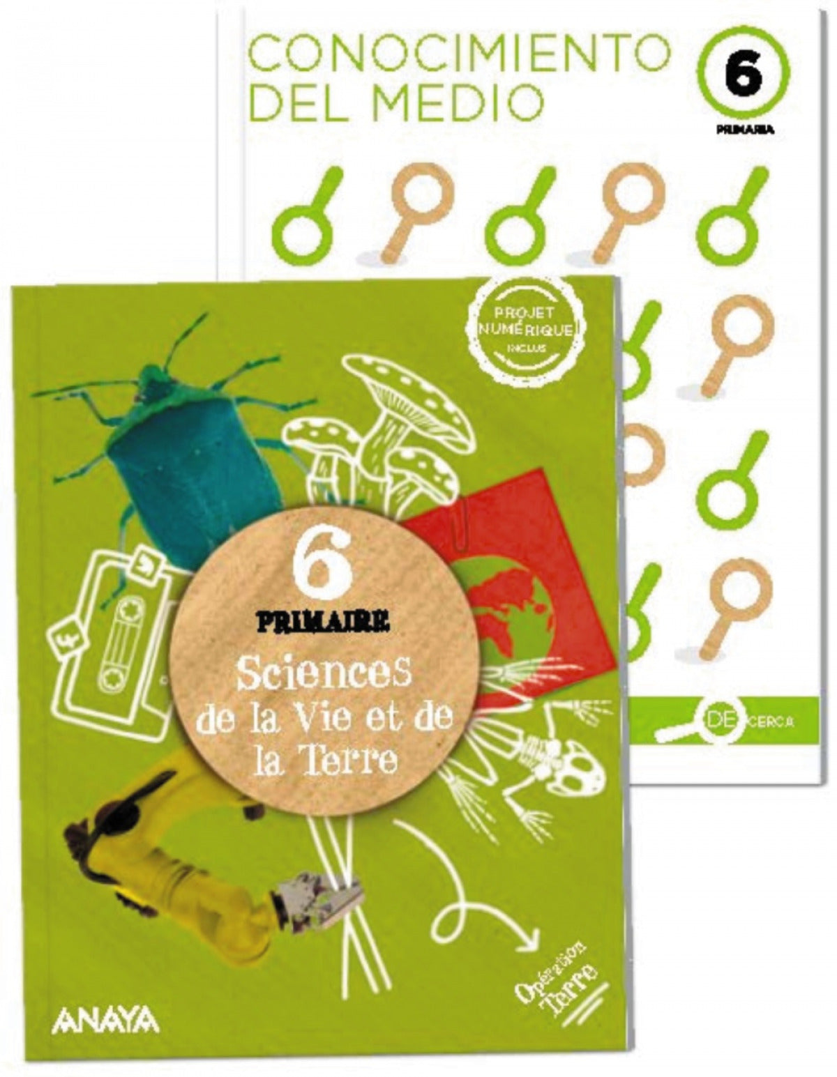 SCIENCE VIE ET TERRE 6ºPRIMARIA. DE CERCA. FRANCÉS. ANDALUCÍA 2023