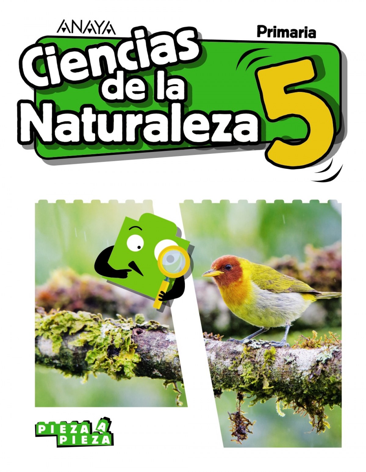 CIENCIAS NATURALEZA 5ºPRIMARIA. PIEZA A PIEZA