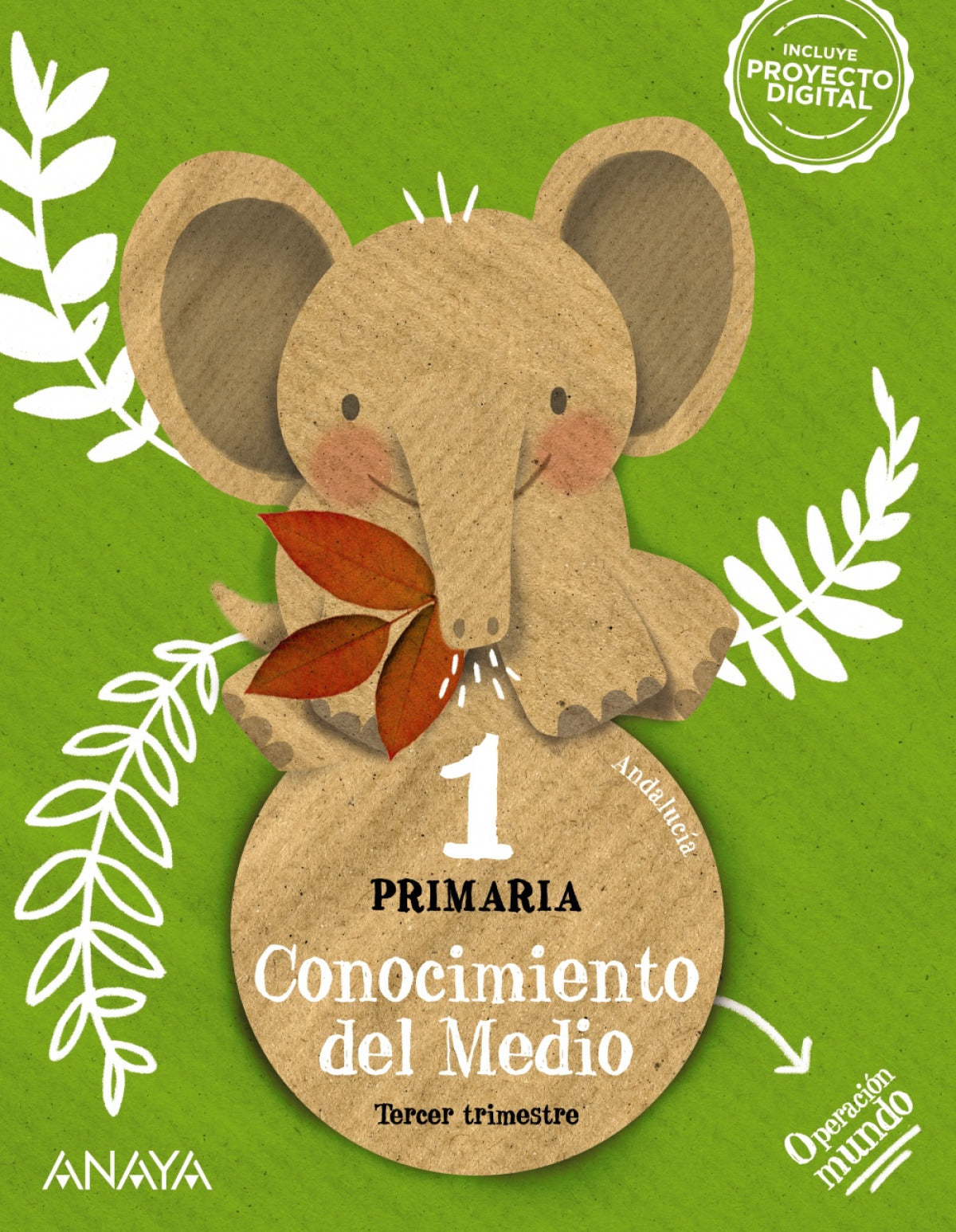 CONOCIMIENTO DEL MEDIO 1ºPRIMARIA. PAUTA. OPERACIÓN MUNDO. ANDALUCÍA 2023