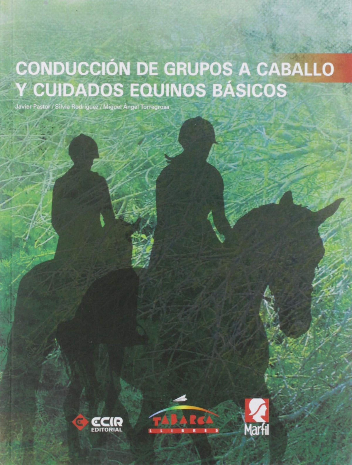 CONDUCCIÓN GRUPOS A CABALLO Y CUIDADOS EQUINOS BASICOS