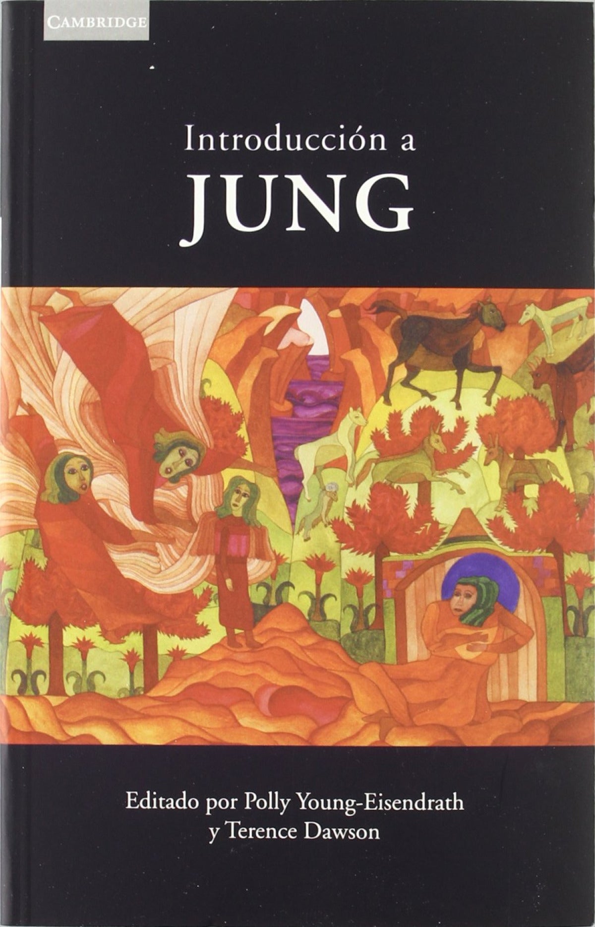 Introducción a Jung