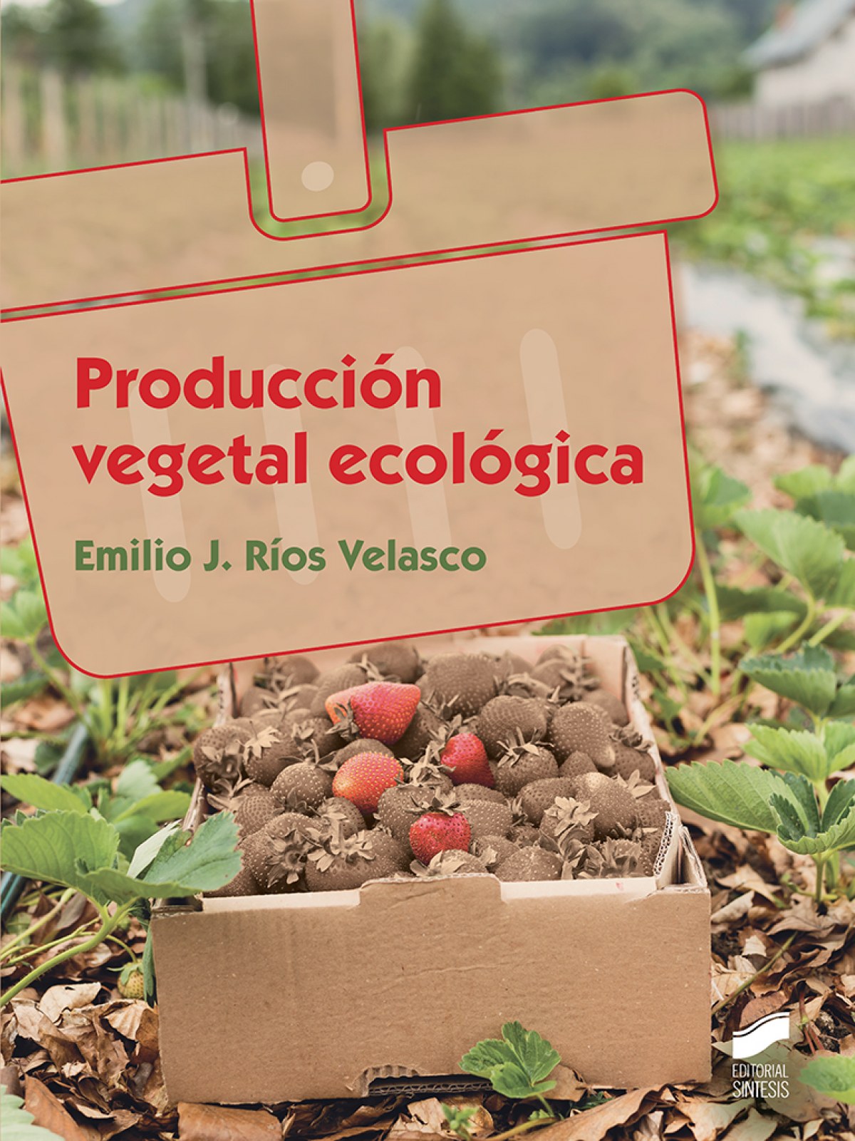 PRODUCCION VEGETAL ECOLOGICA