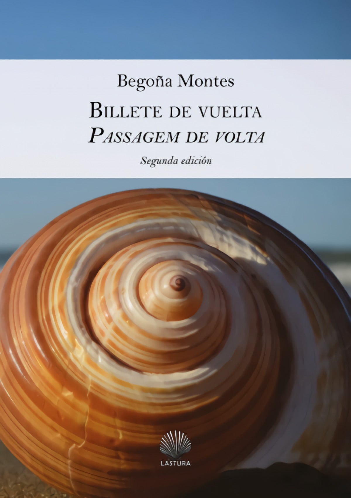 BILLETE DE VUELTA / PASSAGEM DE VOLTA