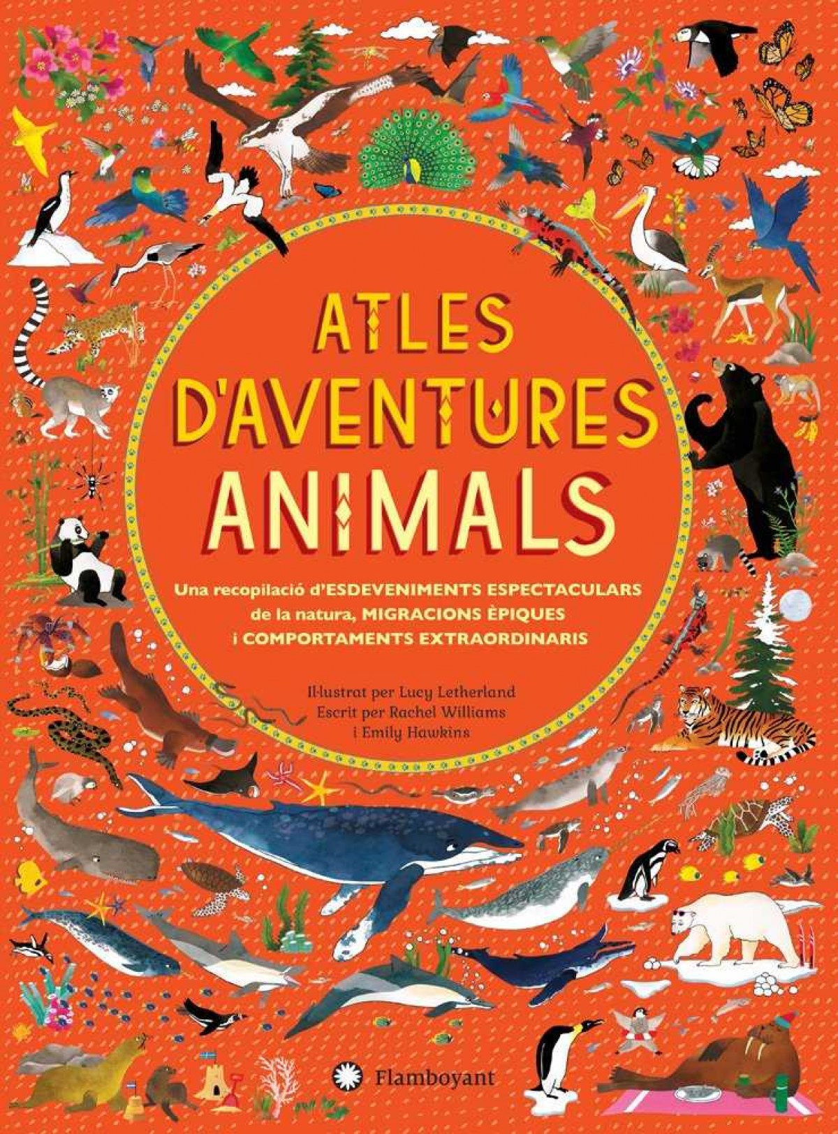 ATLES D´AVENTURES AMIMALS