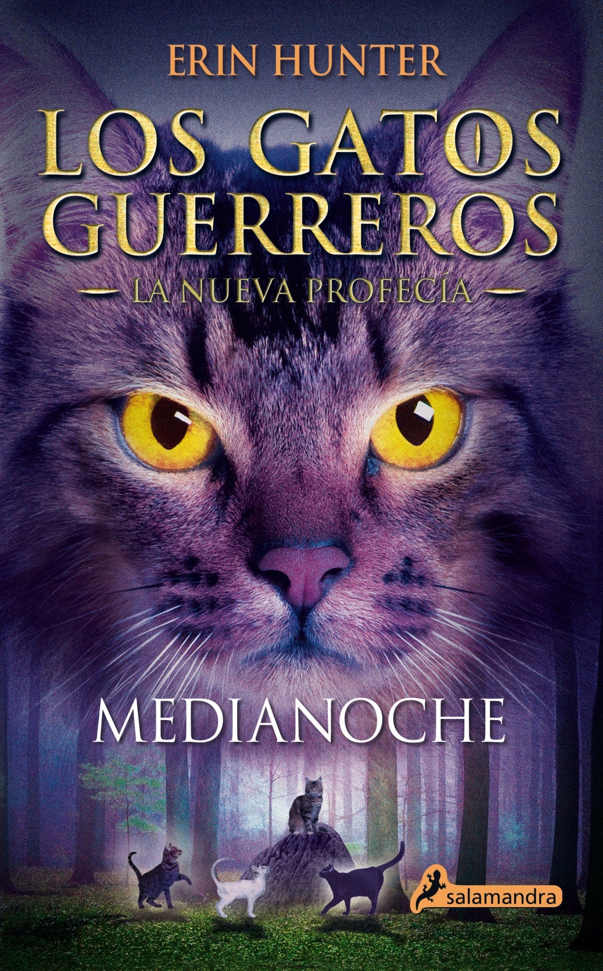 Medianoche