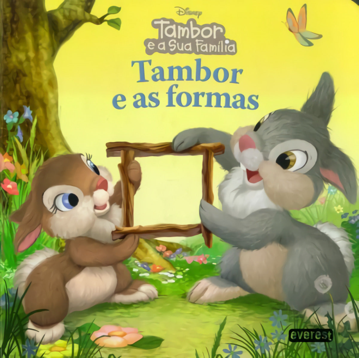 TAMBOR E AS FORMAS