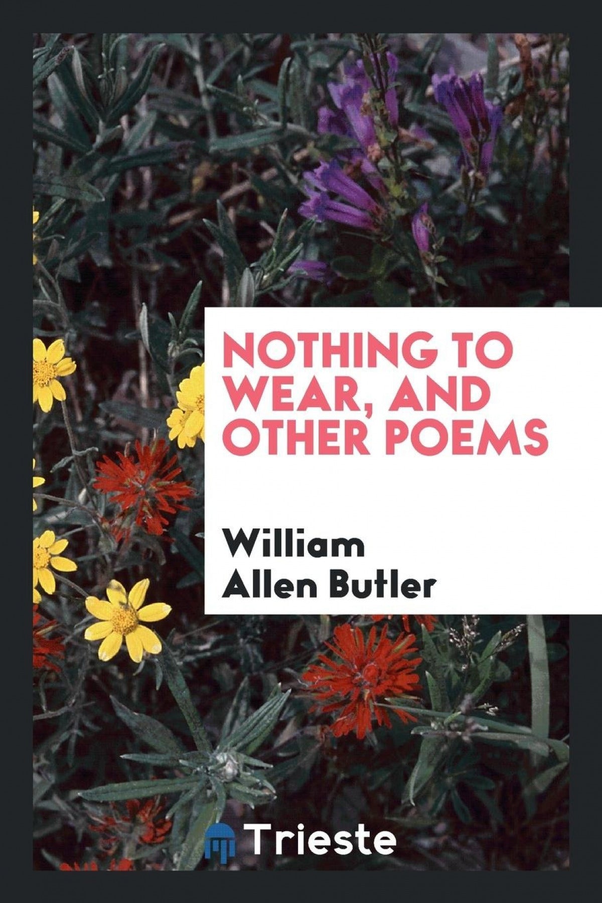 Nothing to wear, and other poems