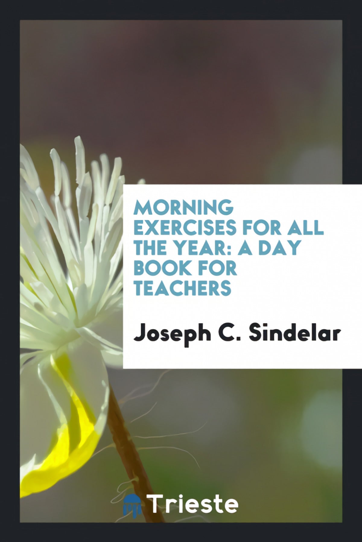 Morning exercises for all the year
