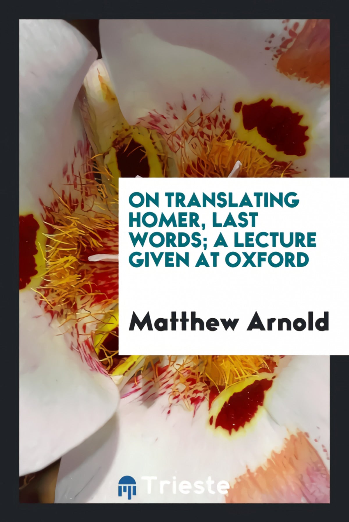 On translating Homer, last words
