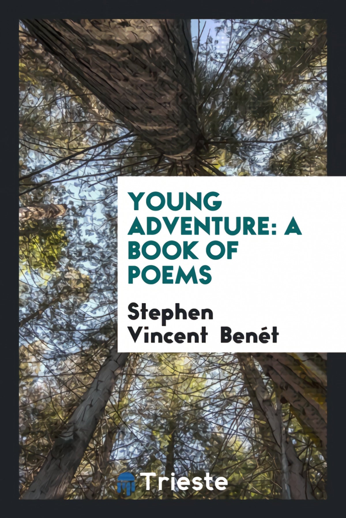 Young Adventure