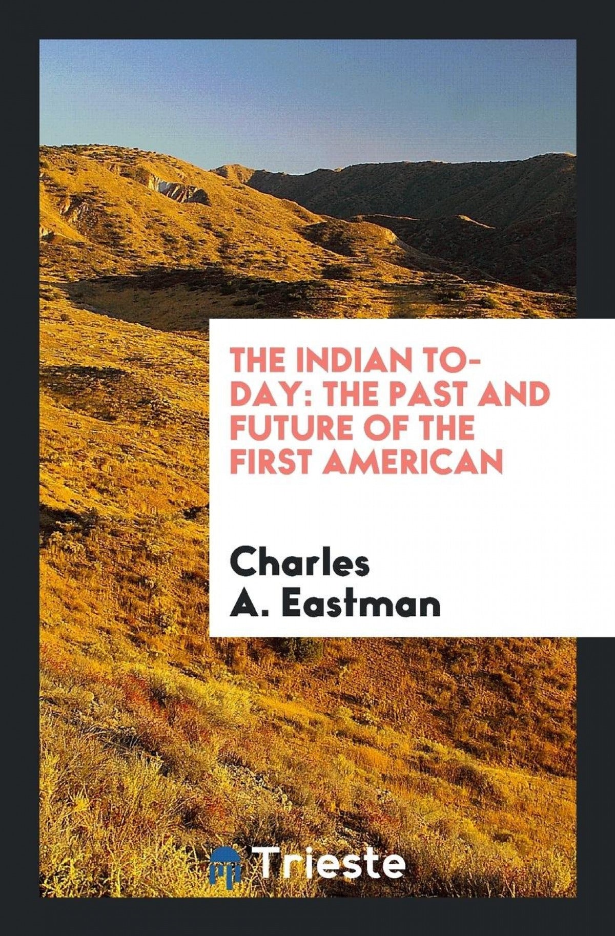The Indian To-day