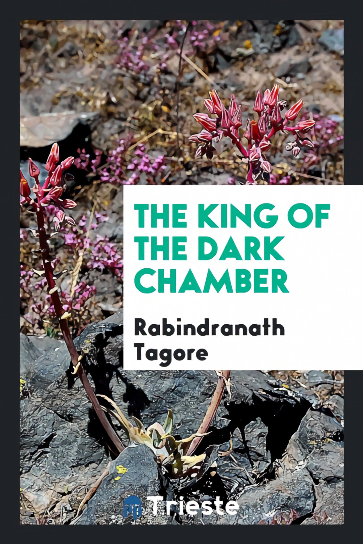 The King of the Dark Chamber