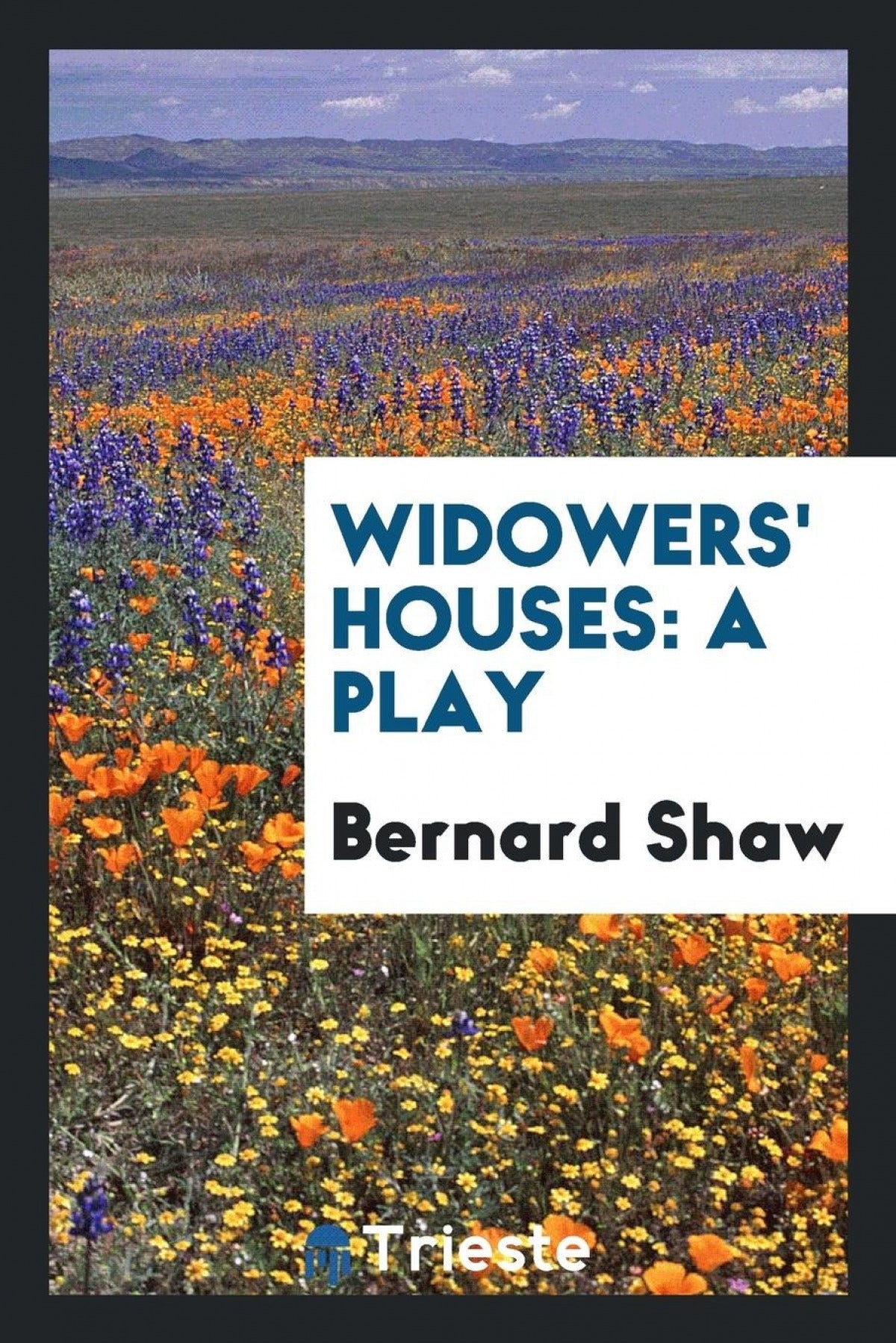 Widowers' houses