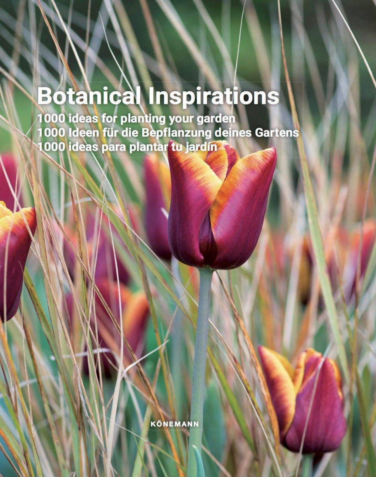 BOTANICAL INSPIRATIONS