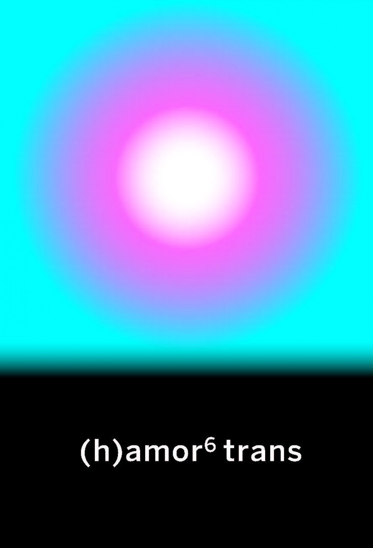 (h)amor 6 trans