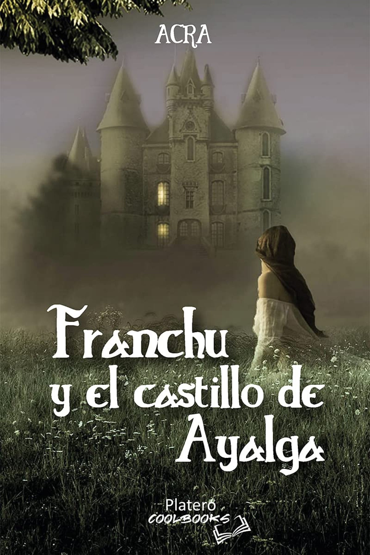 FRANCHU Y EL CASTILLO DE AYALGA