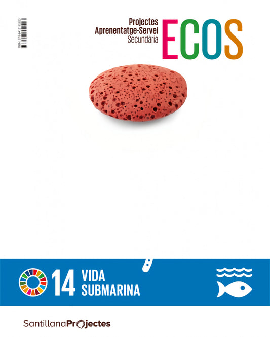 QUAD ACCION VIDA SUBMARINA ECOS CAT ED21