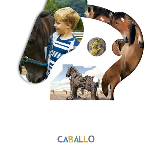 CABALLO 4 AÑOS 2019