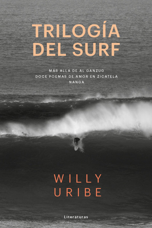 TRILOGíA DEL SURF