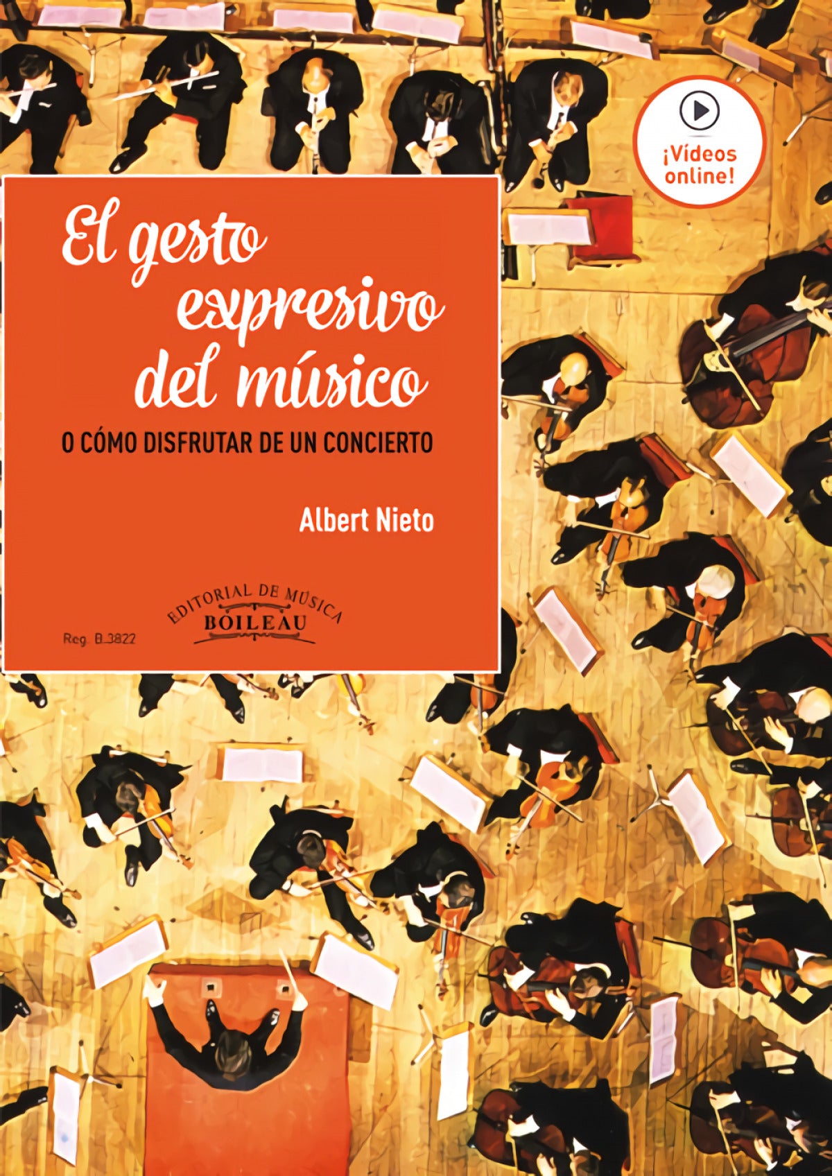 El gesto expresivo del músico o como disfrutar de un cocierto