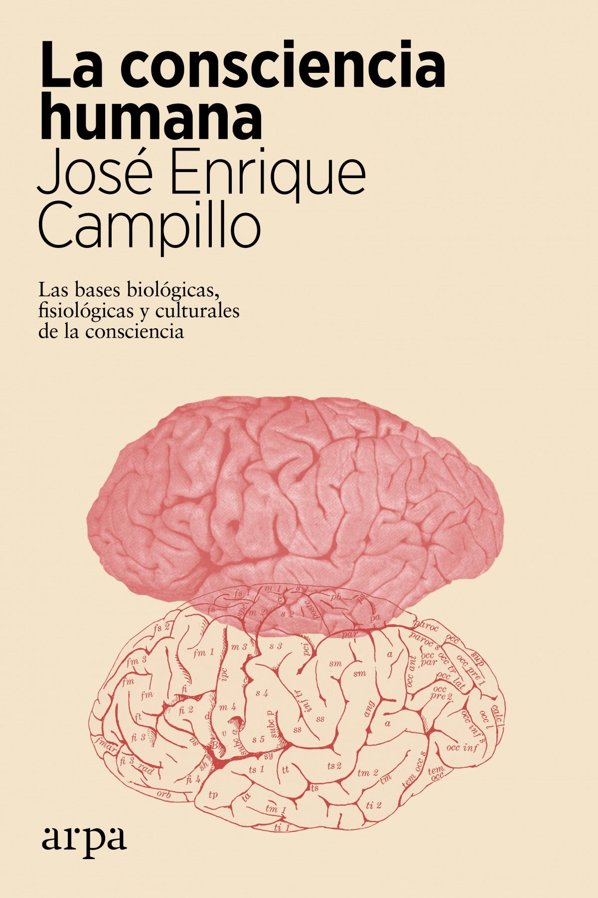 La consciencia humana