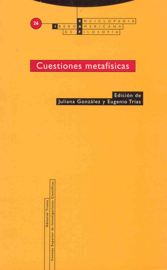 CUESTIONES METAFÍSICAS