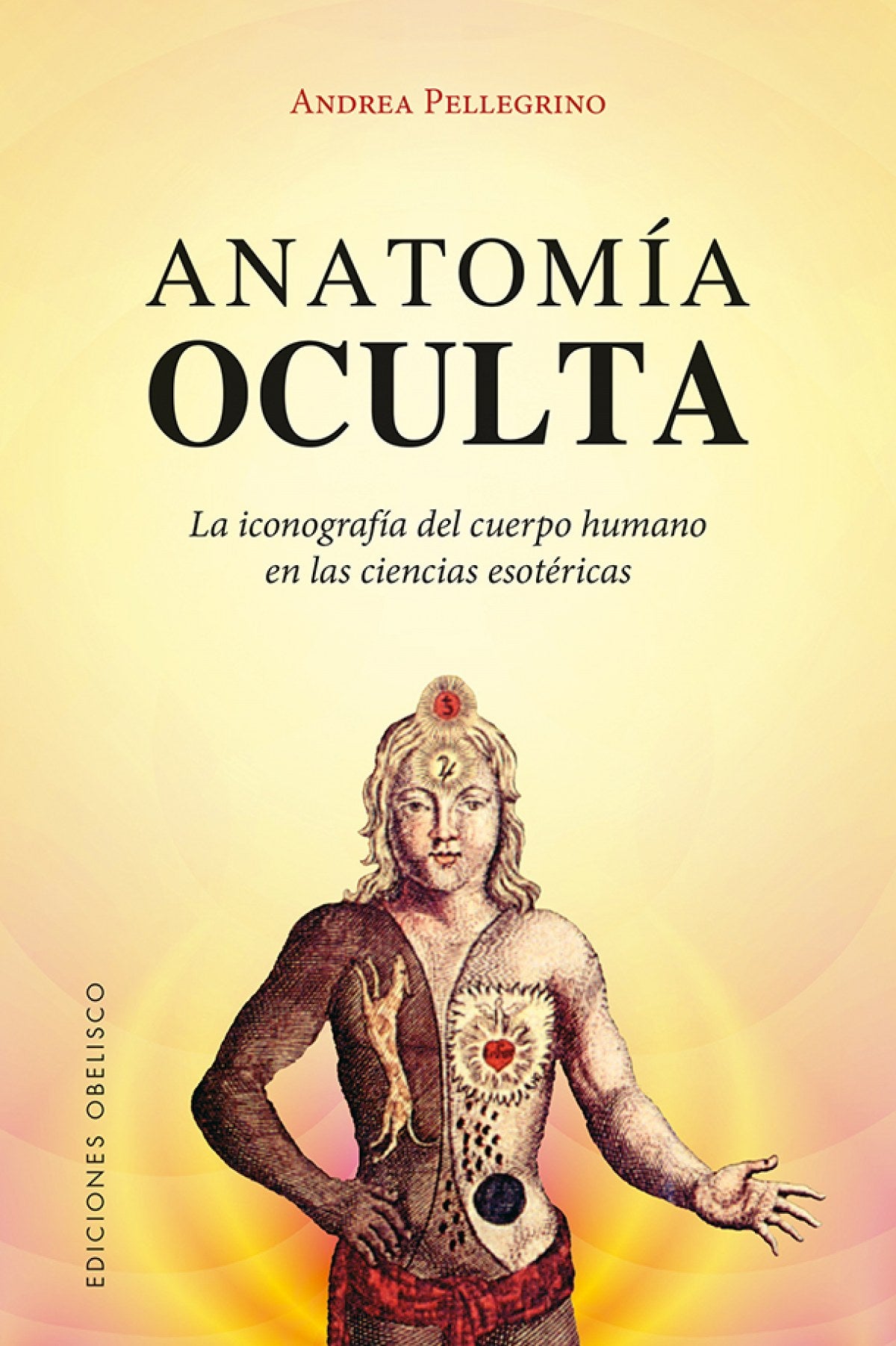 ANATOMIA OCULTA