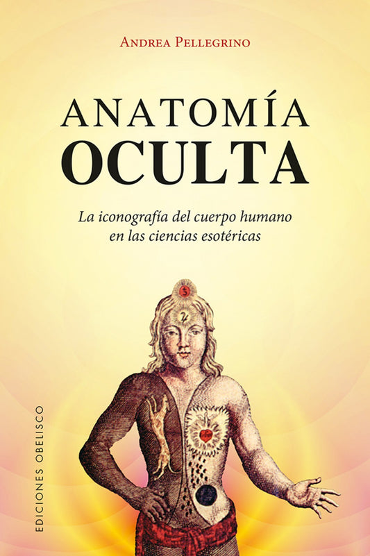 ANATOMIA OCULTA
