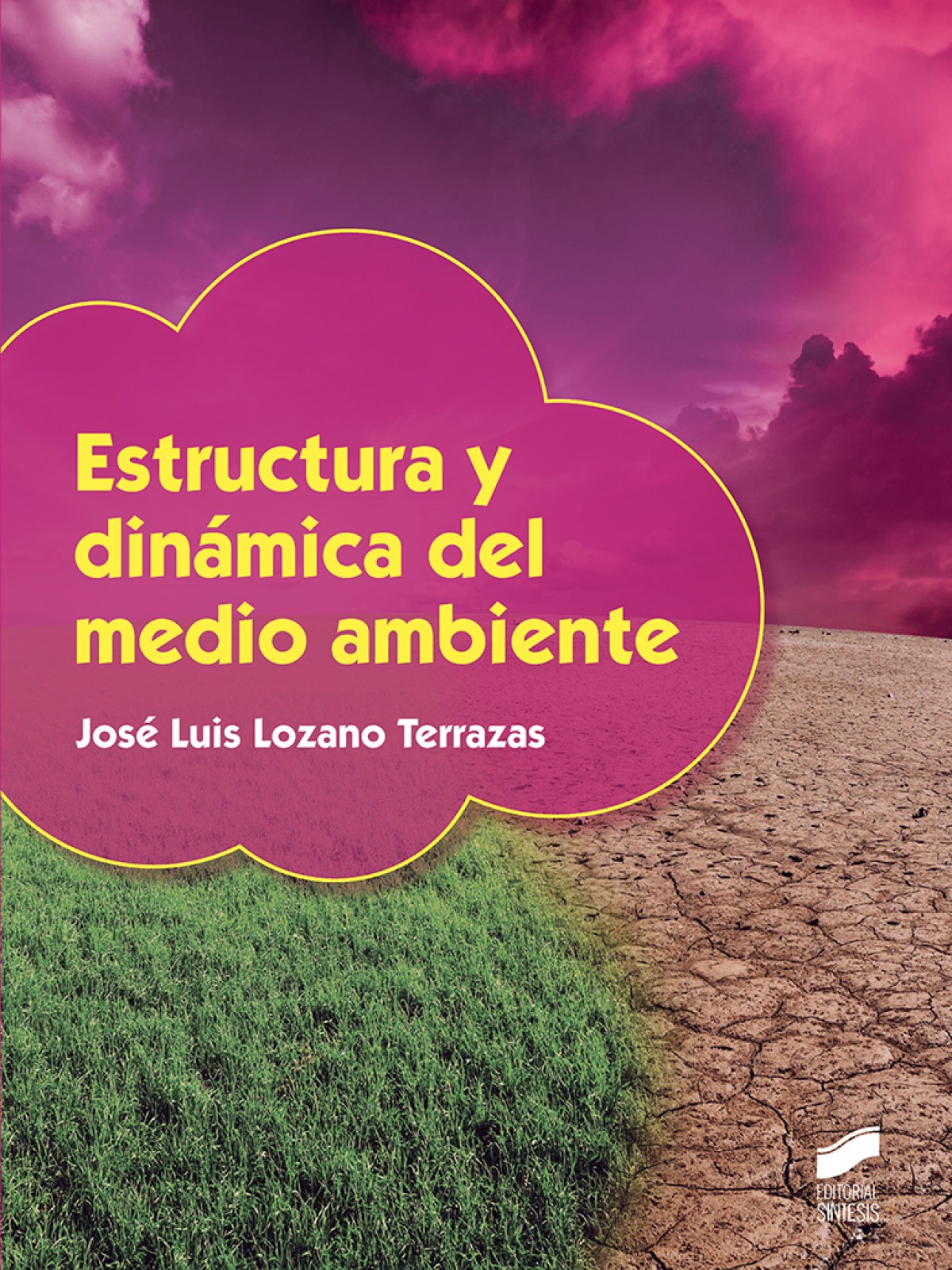 ESTRUCTURA Y DINÁMICA DEL MEDIO AMBIENTE
