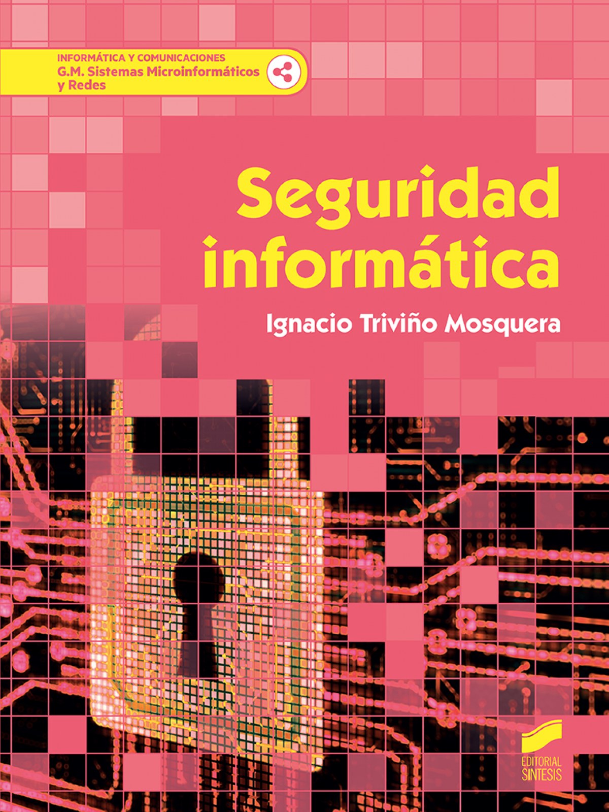SEGURIDAD INFORMÁTICA 2019