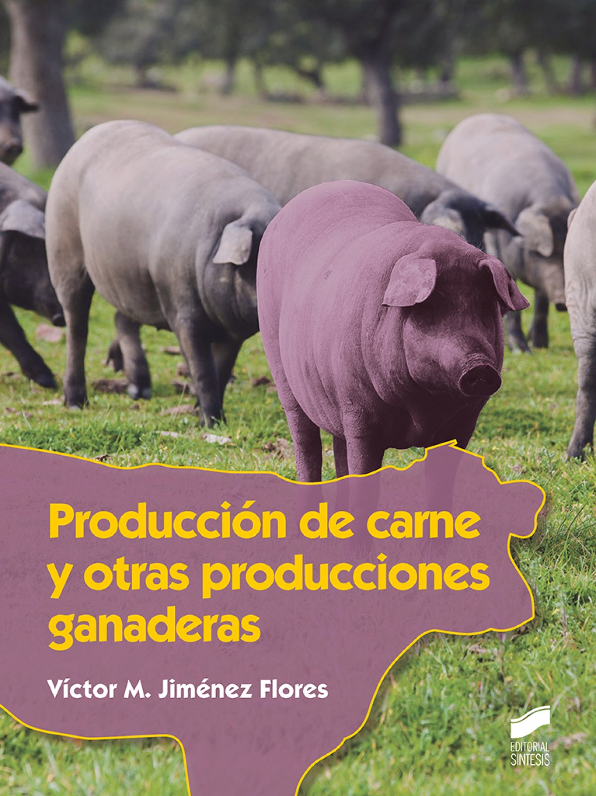 PRODUCCIÓN DE CARNE Y OTRAS PRODUCCIONES GANADERAS 2019
