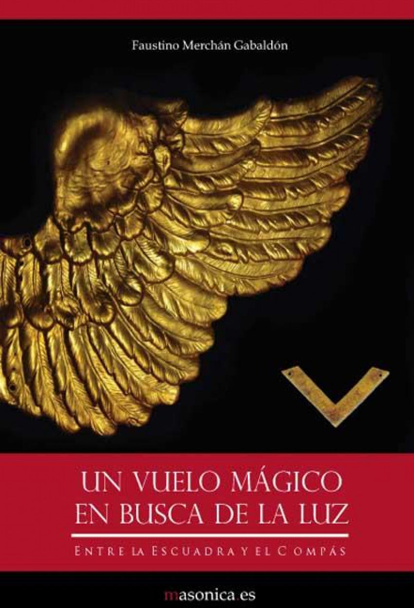 Un vuelo mágico en busca de la Luz