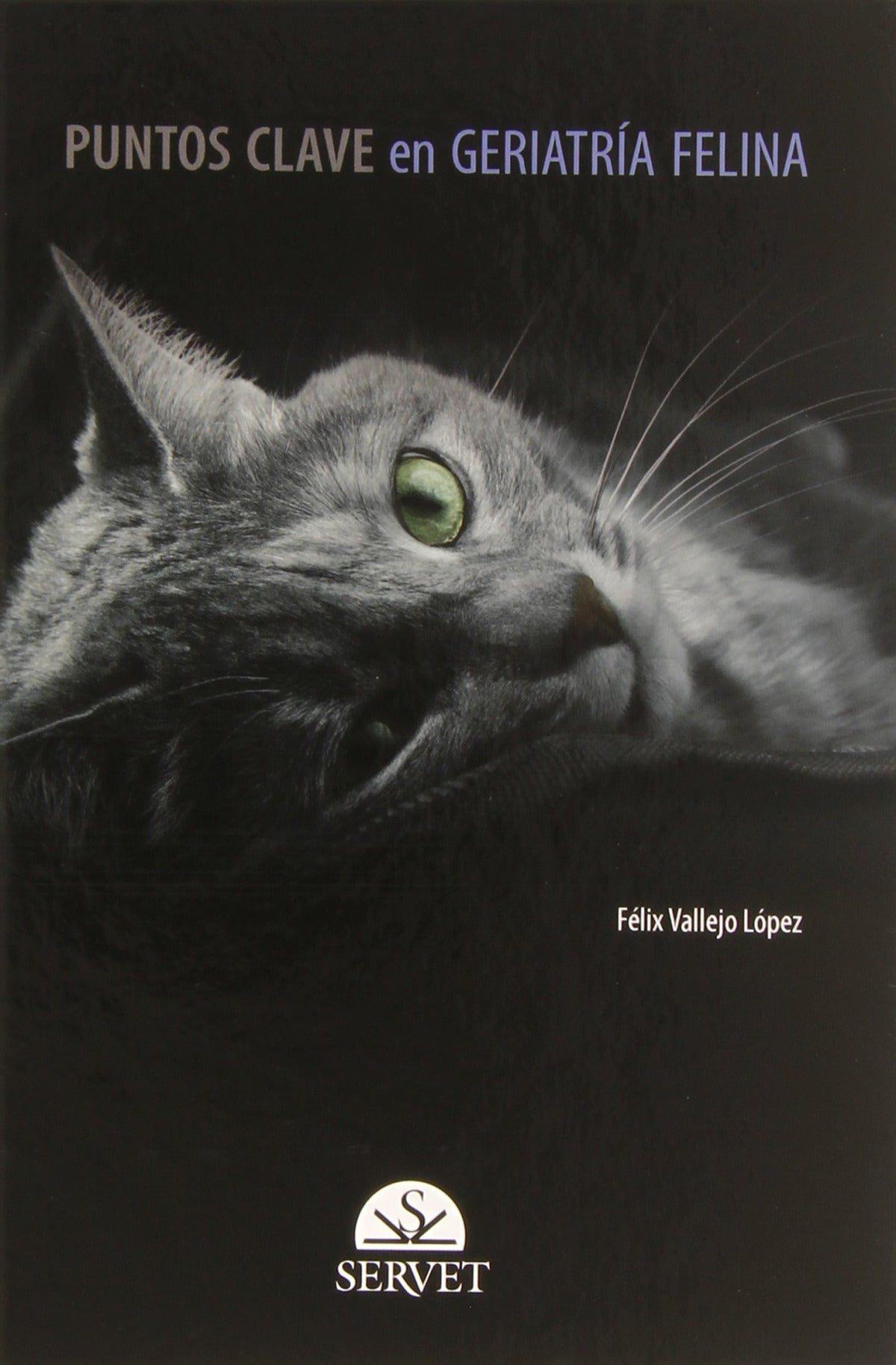 Puntos clave en geriatría felina