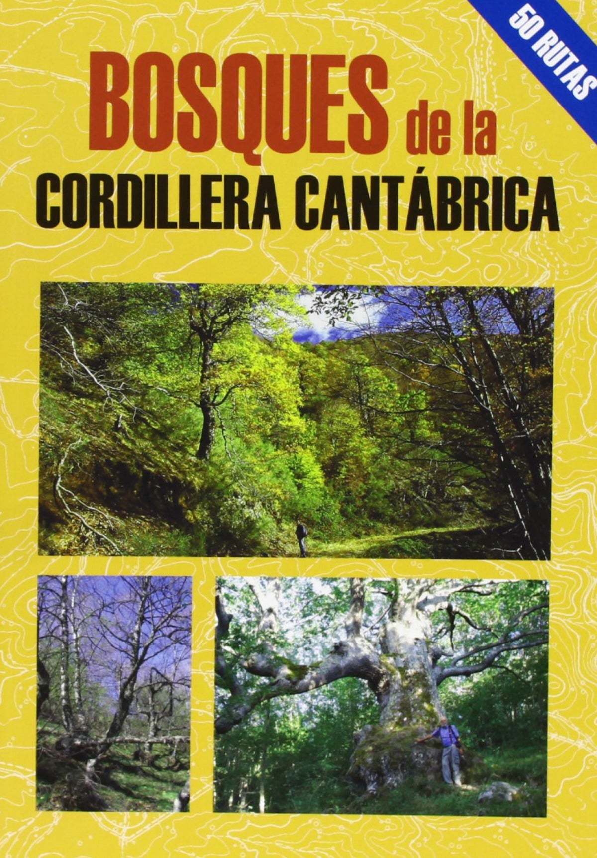 Bosques de la cordillera cantábrica