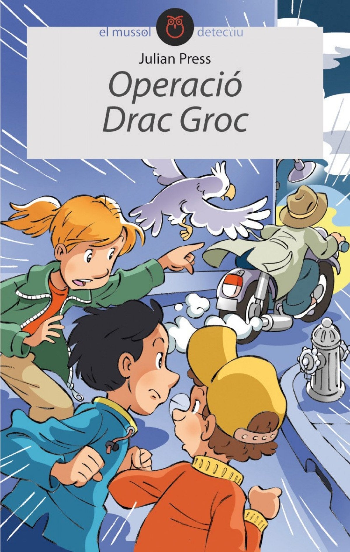 Operació Drac Groc