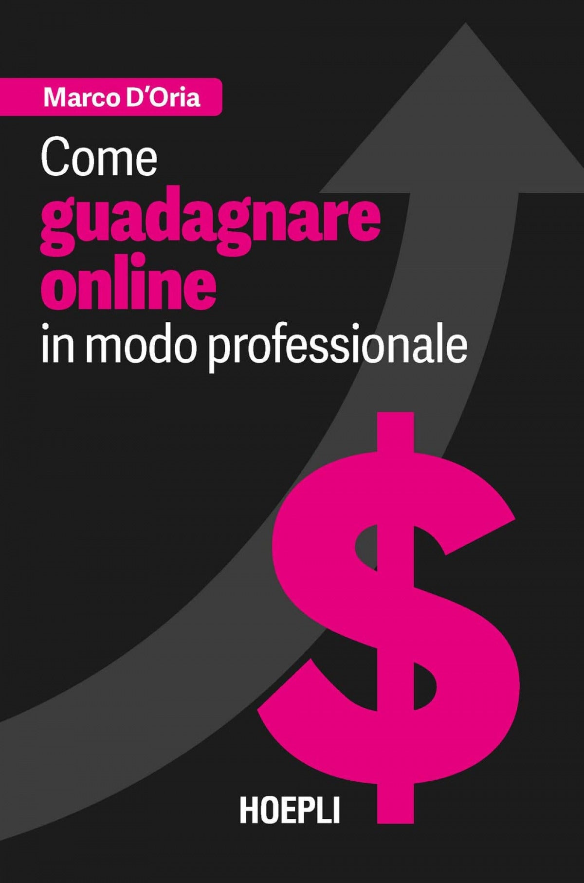Como guadarnare online in modo professionale