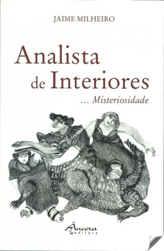Analista de interiores...misteriosidade