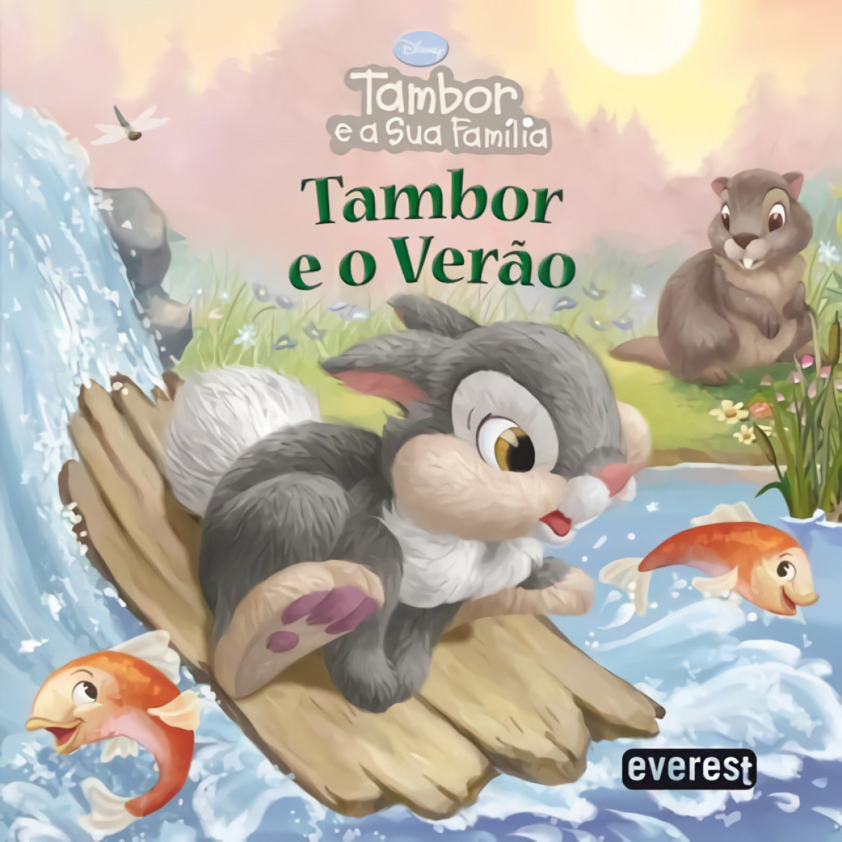TAMBOR E O VERÃO