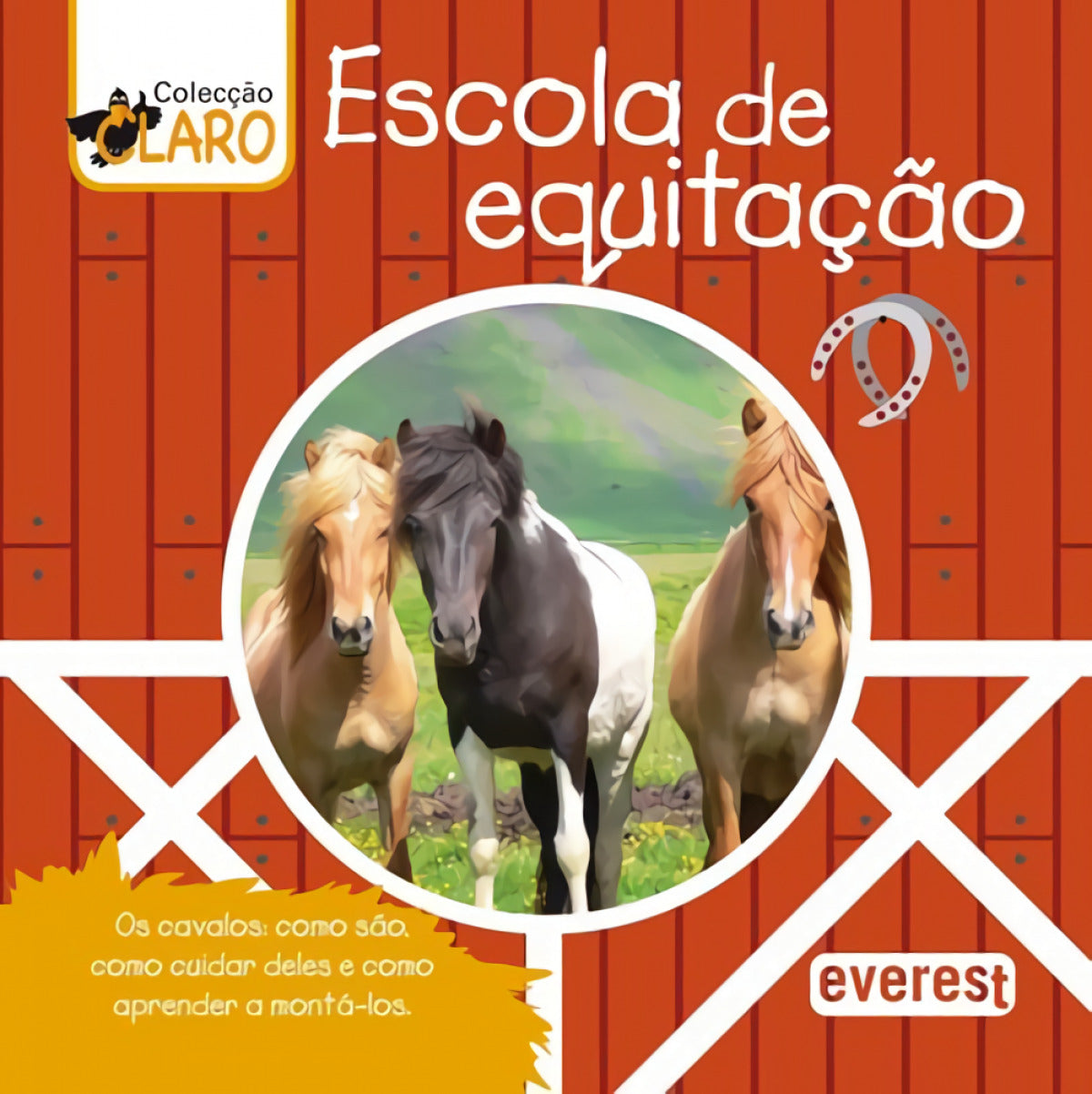 ESCOLA DE EQUITAÇAO