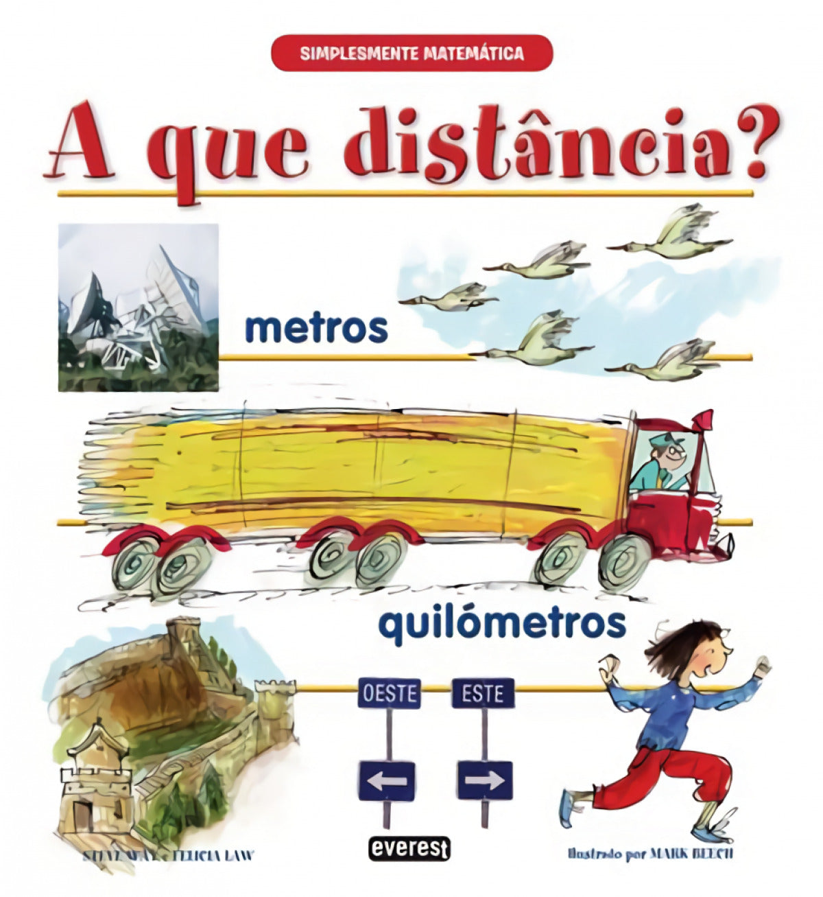 SIMPLESMENTE MATEMÁTICA: A QUE DISTÂNCIA?