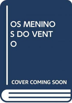 Voo solo